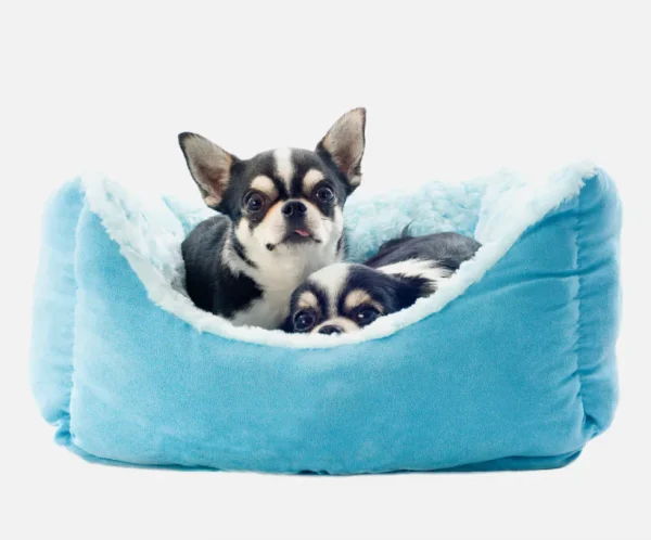 Small Pet Bed