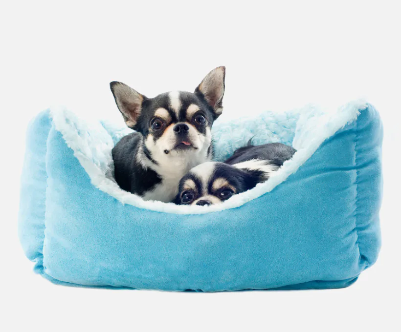 product-thumb-18_optimized Small Pet Bed