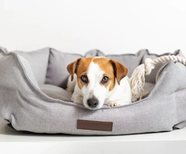 Large Pet Bed