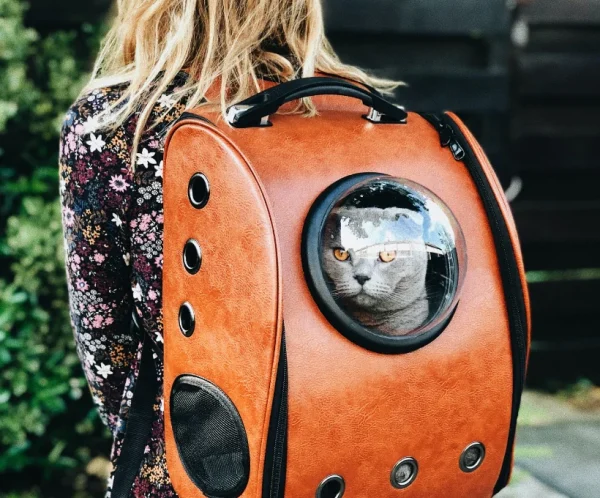 Pet Carrier Backpack